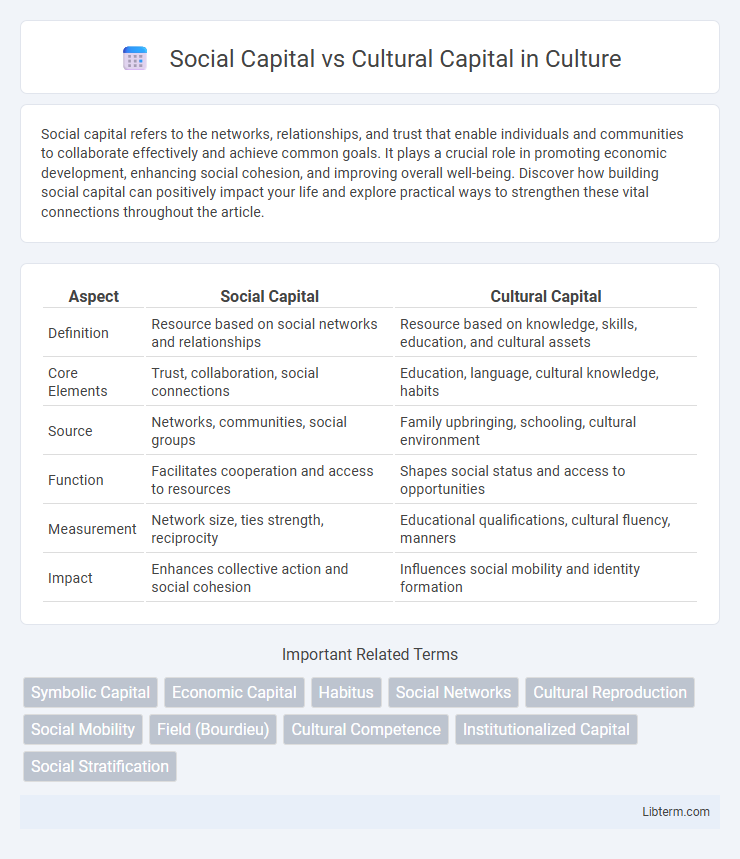 Cultural Capital vs Social Capital in Culture - What is The Difference?