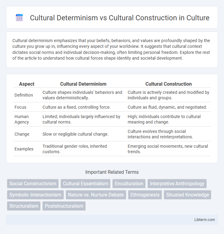 Cultural Construction vs Cultural Determinism in Culture - What is The Difference?