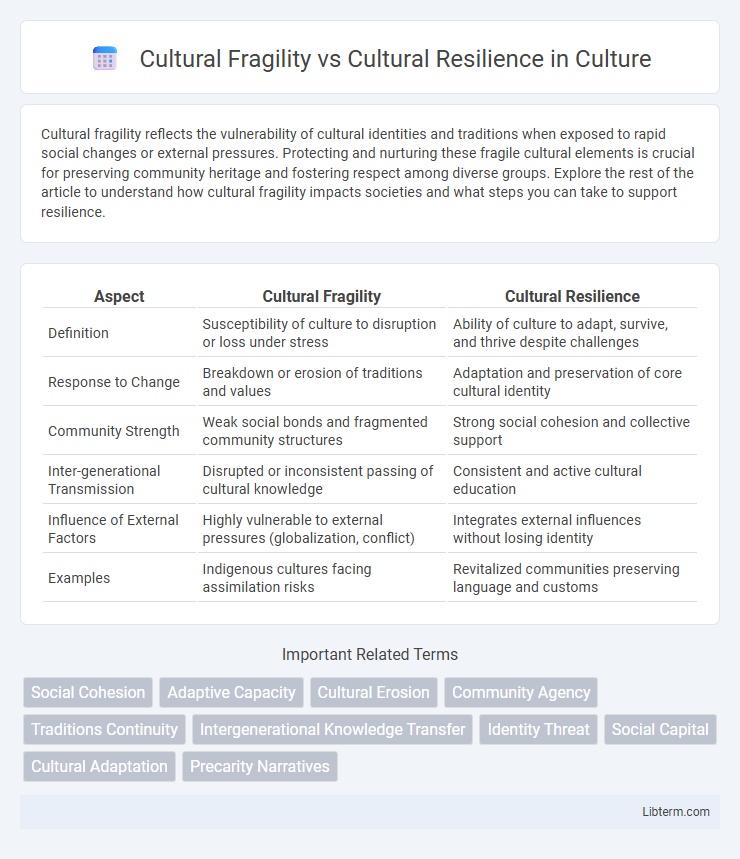 Cultural Resilience vs Cultural Fragility in Culture - What is The Difference?