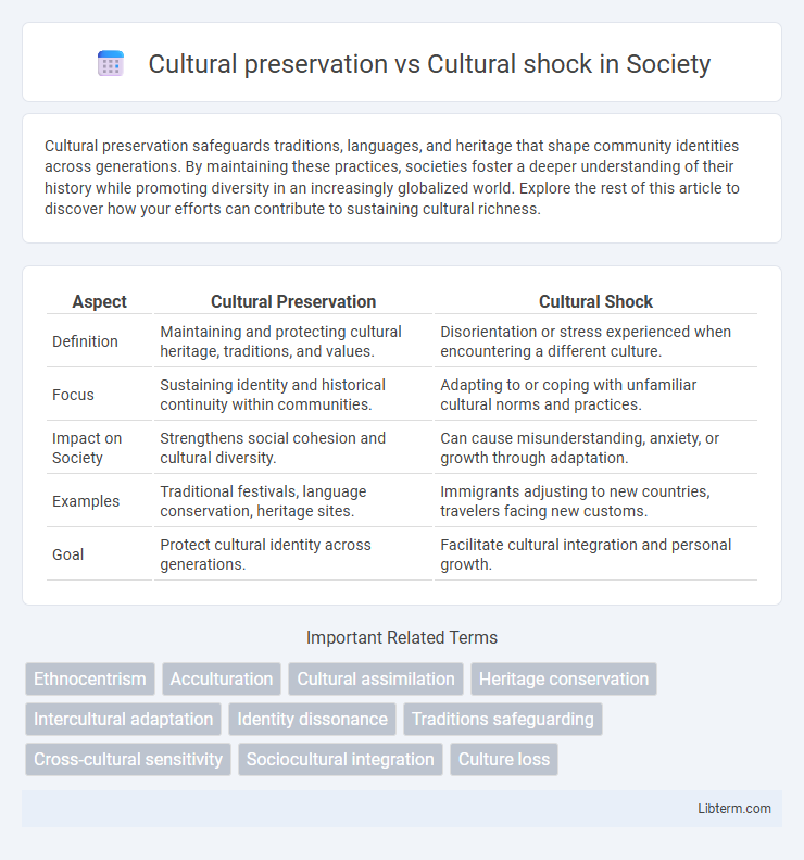 Cultural shock vs Cultural preservation in Society - What is The Difference?