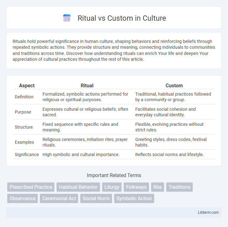 Custom vs Ritual in Culture - What is The Difference?