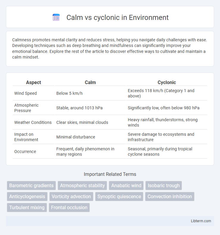 cyclonic vs Calm in Environment - What is The Difference?