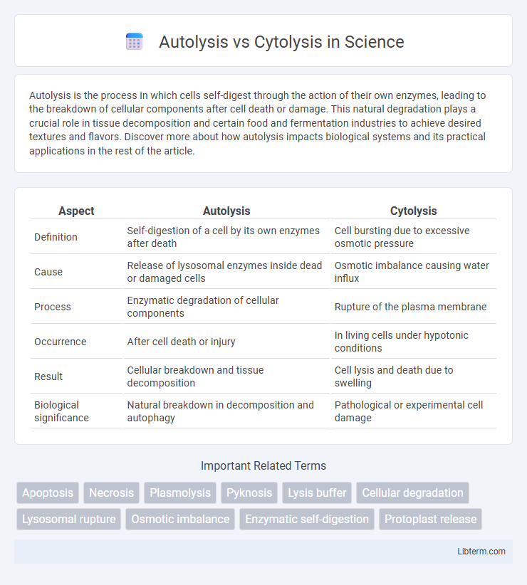 Cytolysis vs Autolysis in Science - What is The Difference?