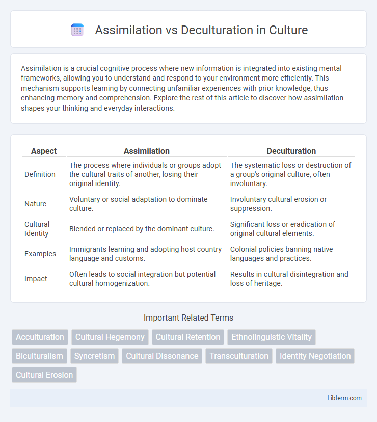 Deculturation vs Assimilation in Culture - What is The Difference?