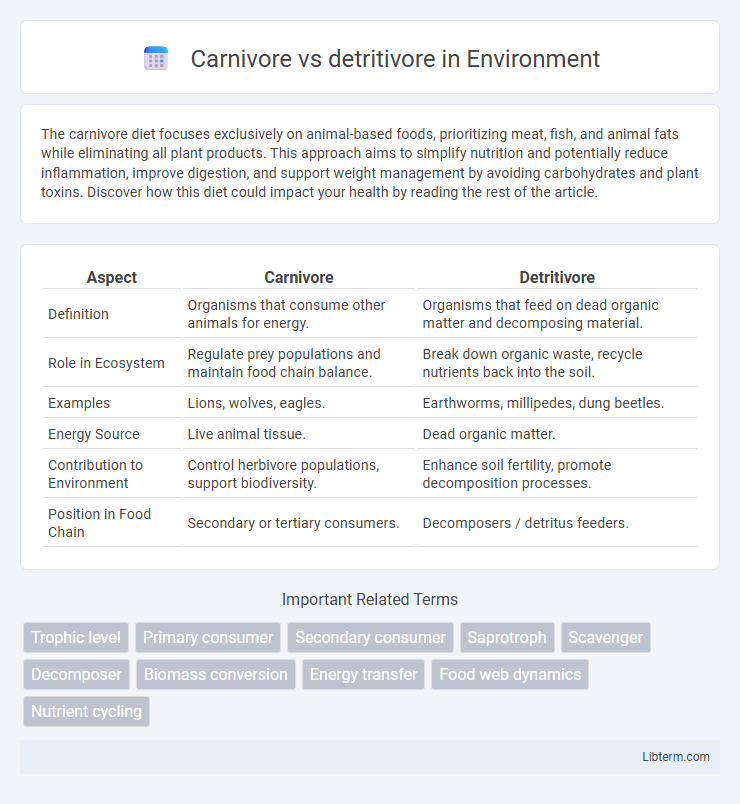 detritivore vs Carnivore in Environment - What is The Difference?