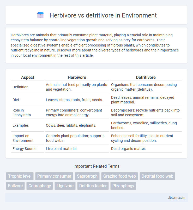 detritivore vs Herbivore in Environment - What is The Difference?