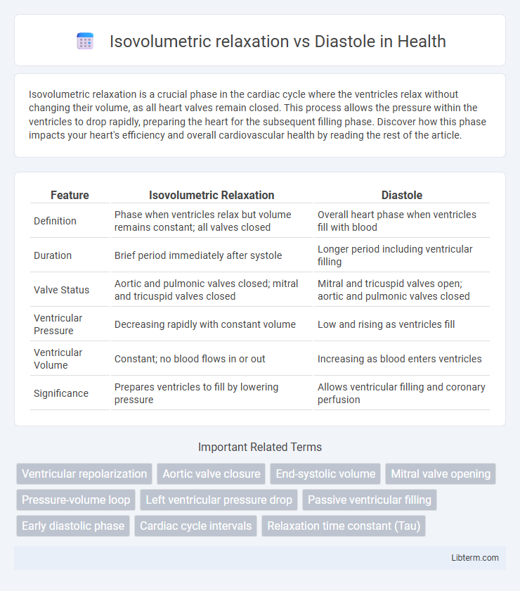 Diastole vs Isovolumetric relaxation in Health - What is The Difference?