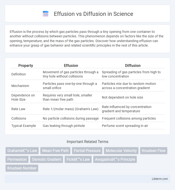 Diffusion vs Effusion in Science - What is The Difference?