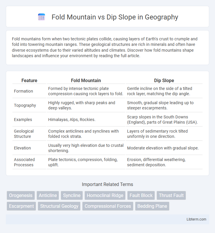 Dip Slope vs Fold Mountain in Geography - What is The Difference?