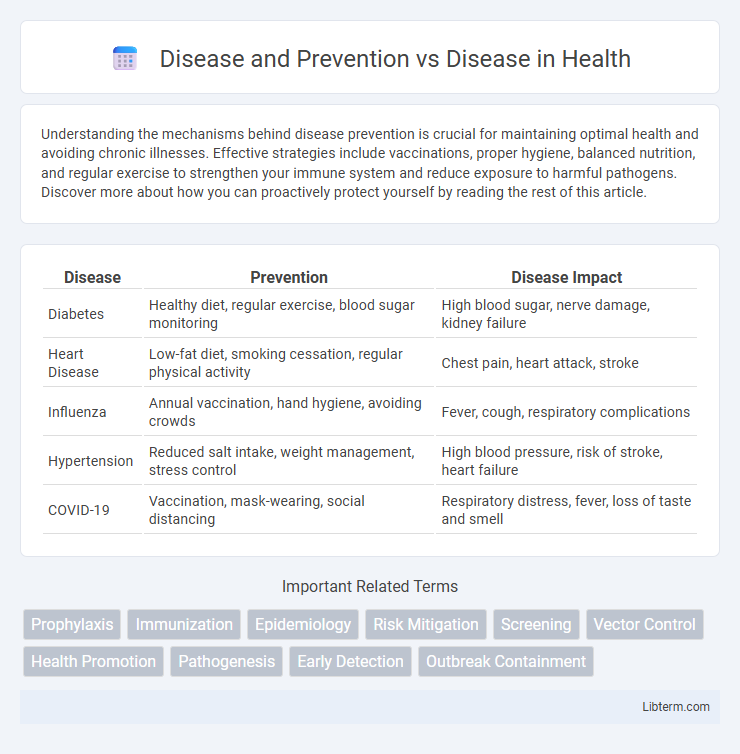 Disease vs Disease and Prevention in Health - What is The Difference?