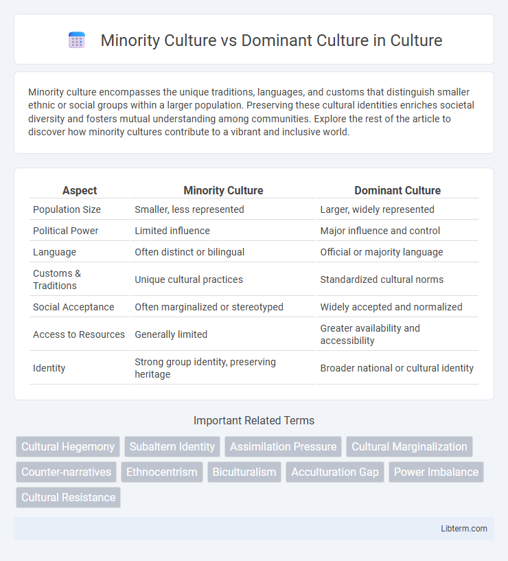 Dominant Culture vs Minority Culture in Culture - What is The Difference?