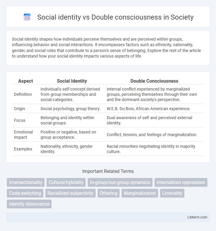 Double consciousness vs Social identity in Society - What is The Difference?