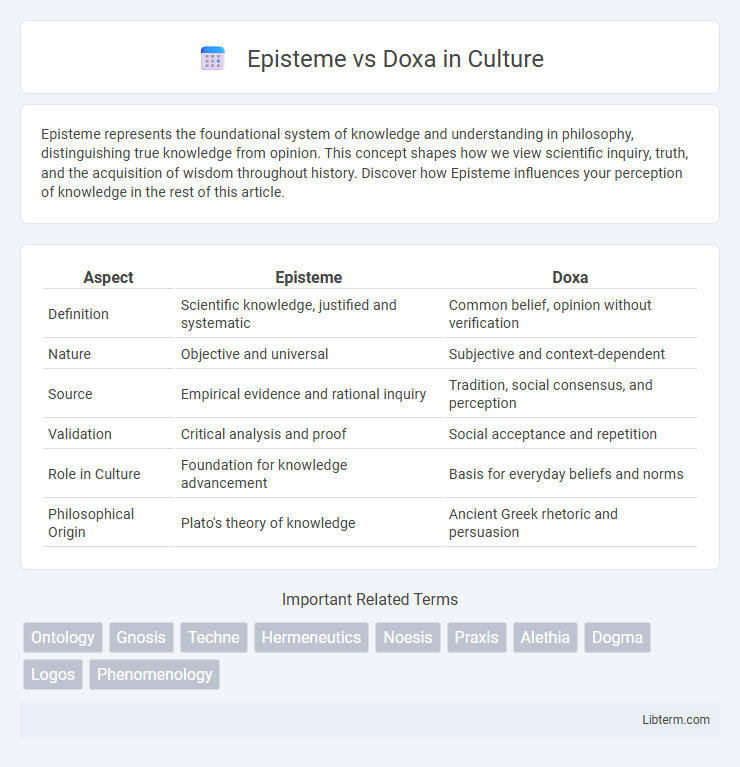 Doxa vs Episteme in Culture - What is The Difference?