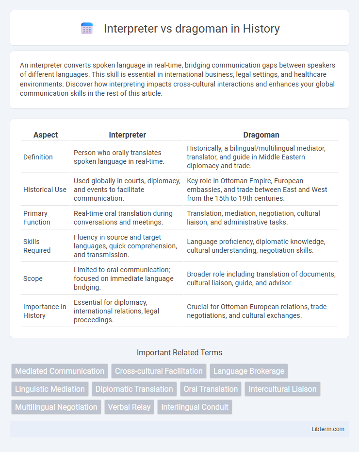 dragoman vs Interpreter in History - What is The Difference?