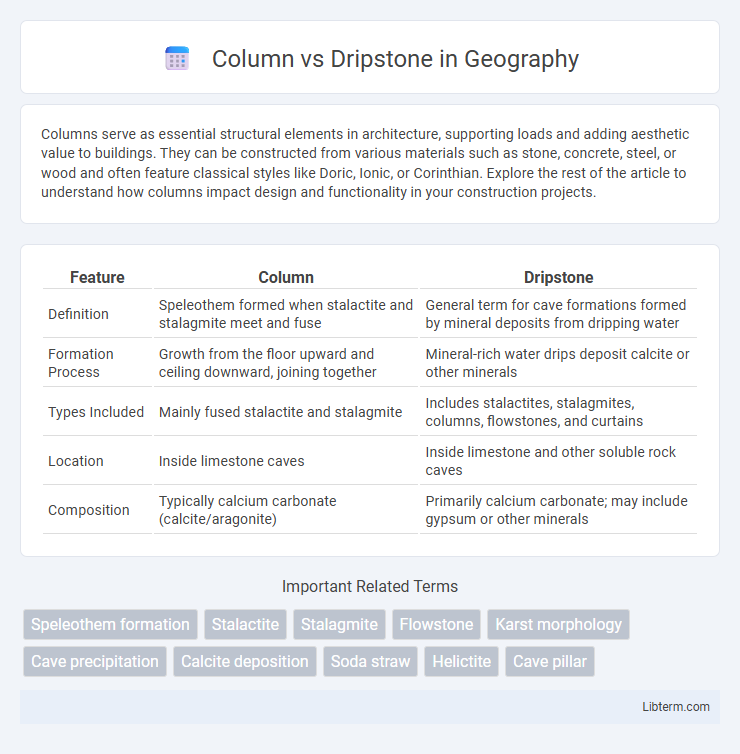 Dripstone vs Column in Geography - What is The Difference?