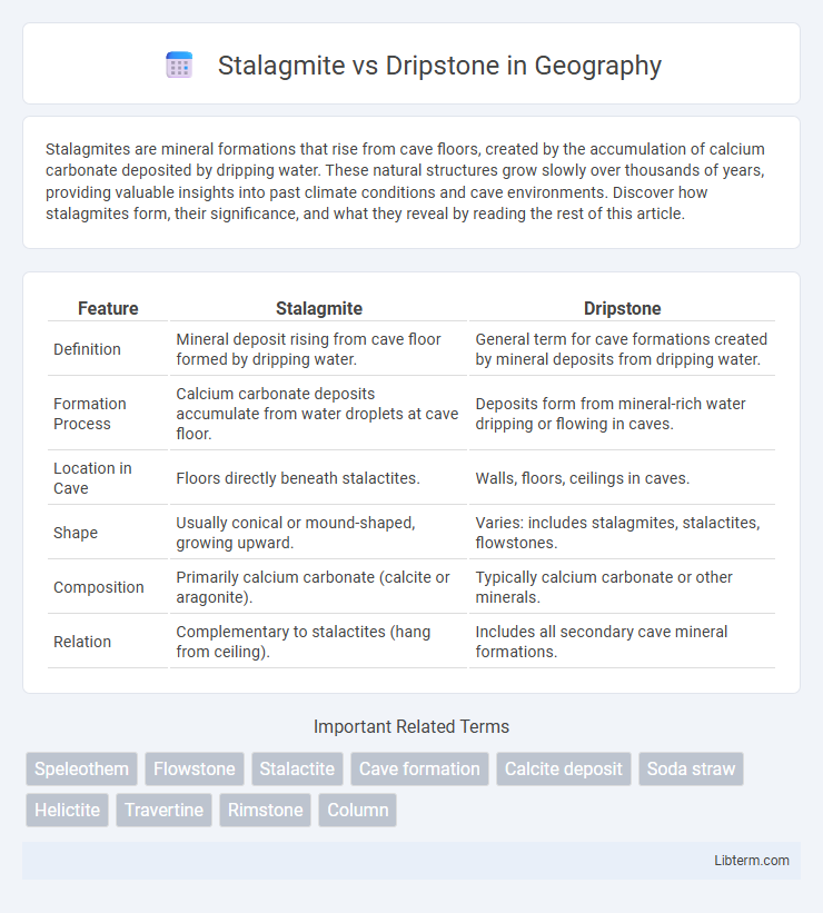 Dripstone vs Stalagmite in Geography - What is The Difference?