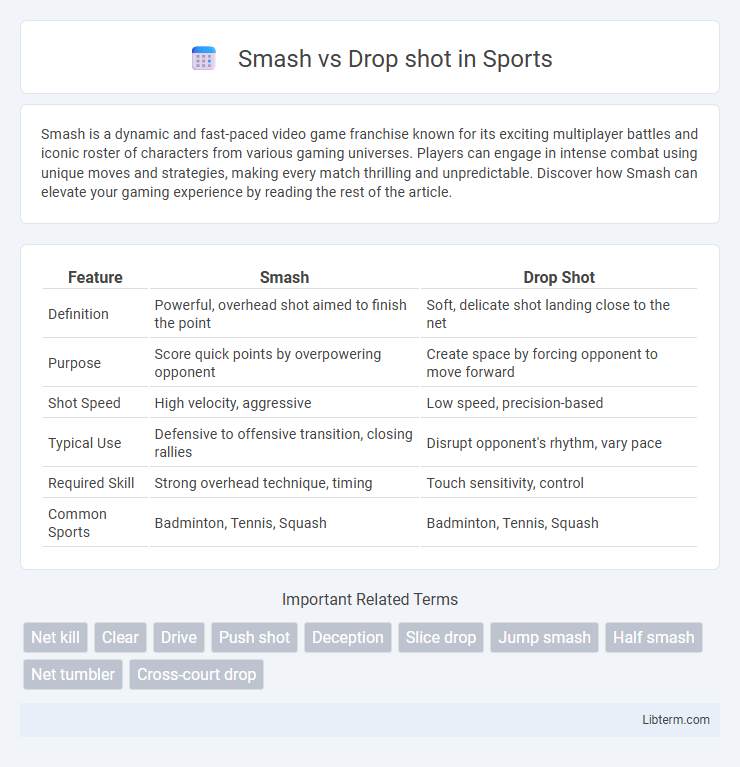Drop shot vs Smash in Sports - What is The Difference?