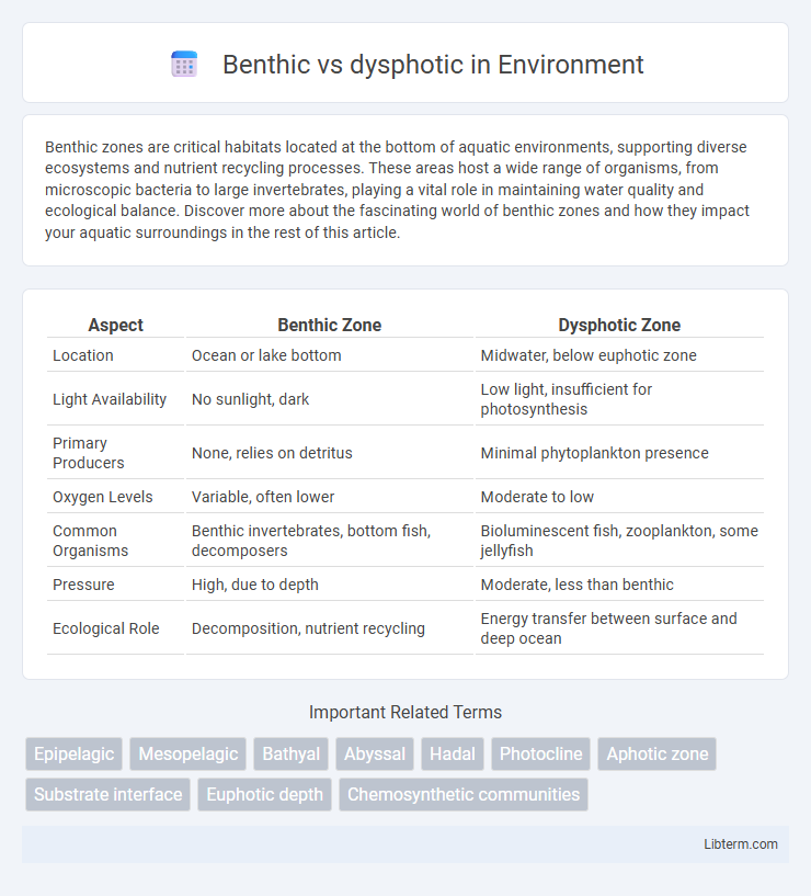 dysphotic vs Benthic in Environment - What is The Difference?