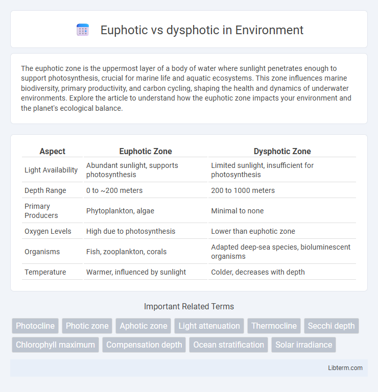 dysphotic vs Euphotic in Environment - What is The Difference?
