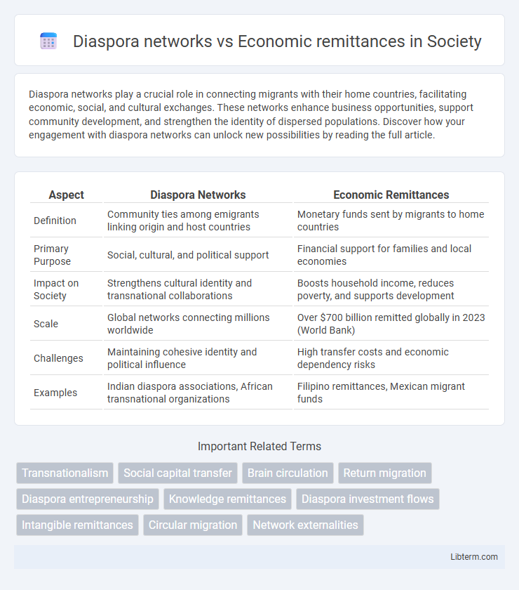 Economic remittances vs Diaspora networks in Society - What is The Difference?