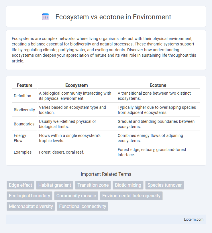 ecotone vs Ecosystem in Environment - What is The Difference?