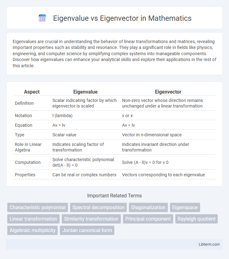 Eigenvector vs Eigenvalue in Mathematics - What is The Difference?