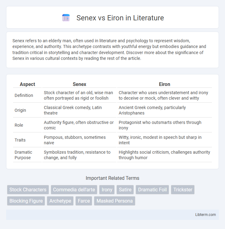 Eiron vs Senex in Literature - What is The Difference?