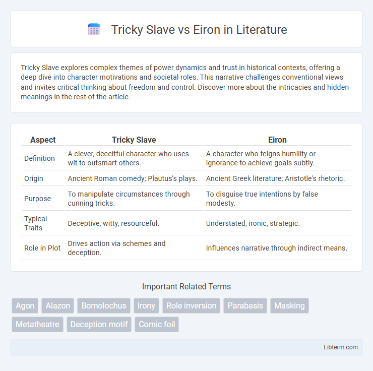 Eiron vs Tricky Slave in Literature - What is The Difference?