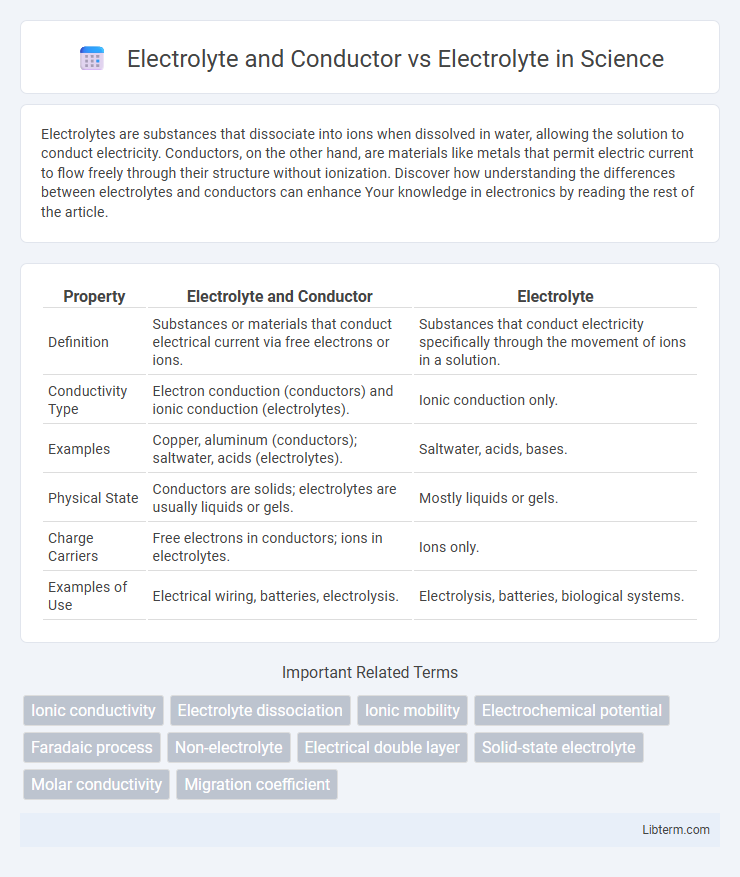 Electrolyte vs Electrolyte and Conductor in Science - What is The Difference?