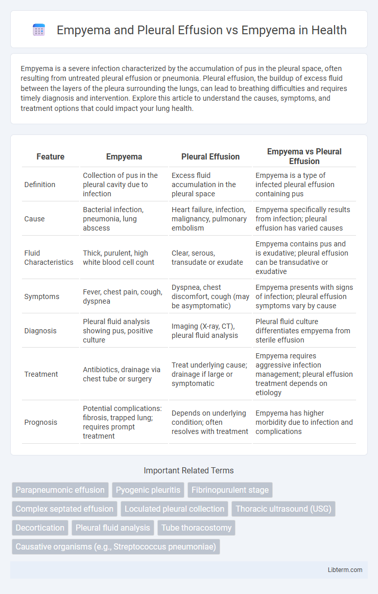 Empyema vs Empyema and Pleural Effusion in Health - What is The Difference?