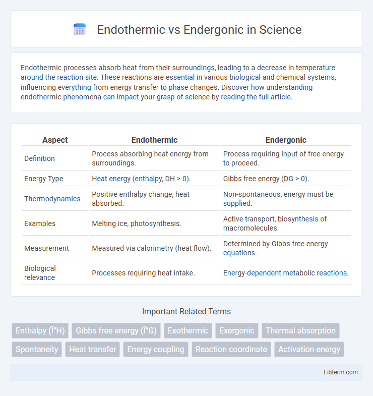 Endergonic vs Endothermic in Science - What is The Difference?