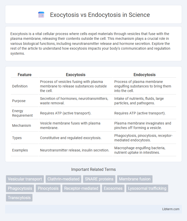 Endocytosis vs Exocytosis in Science - What is The Difference?