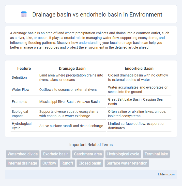endorheic basin vs Drainage basin in Environment - What is The Difference?