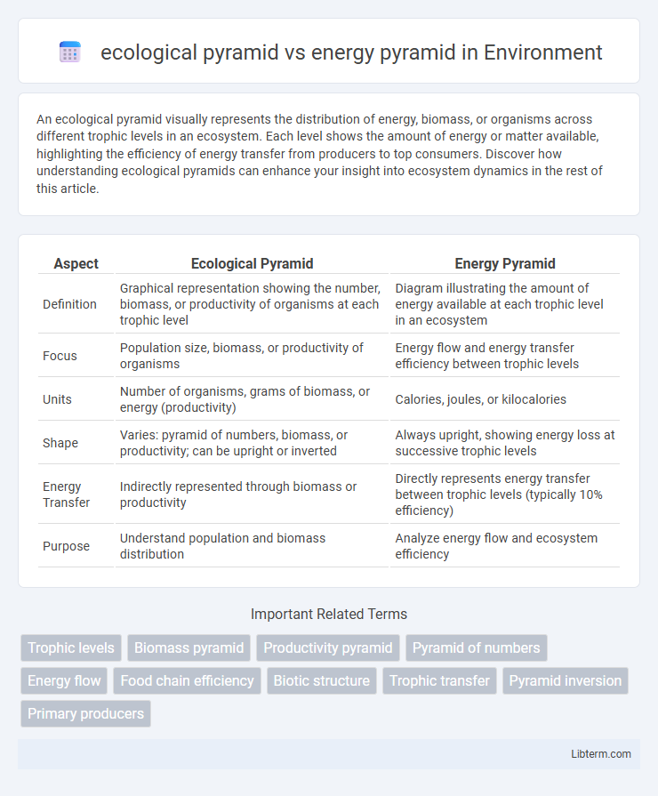 energy pyramid vs ecological pyramid in Environment - What is The Difference?