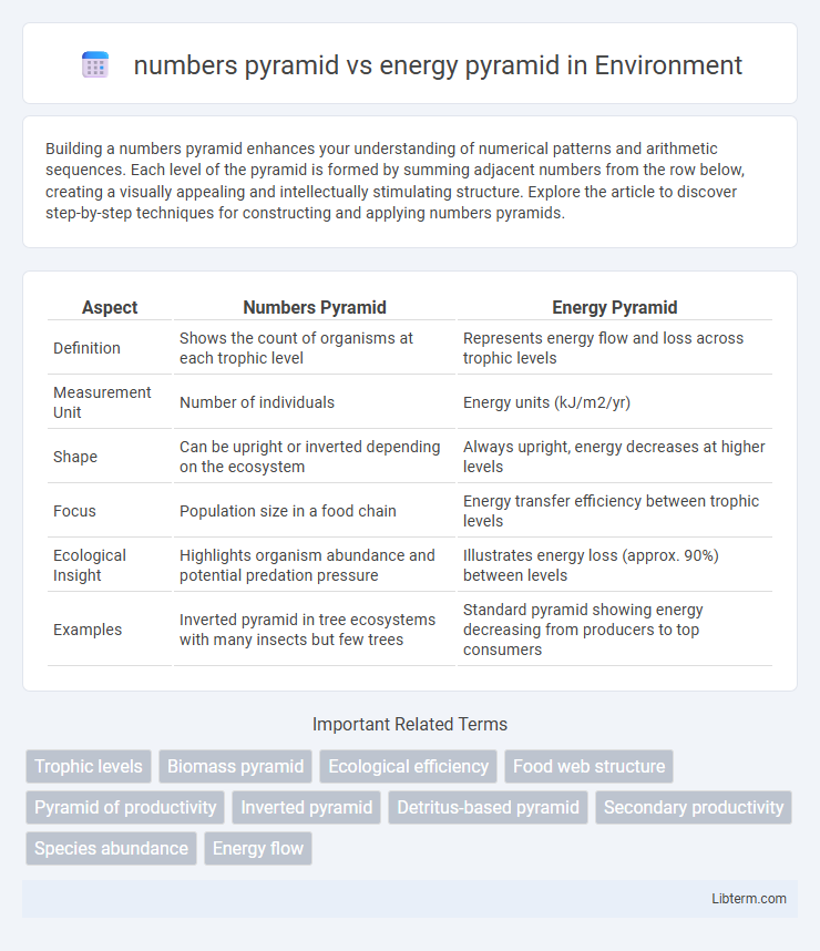 energy pyramid vs numbers pyramid in Environment - What is The Difference?