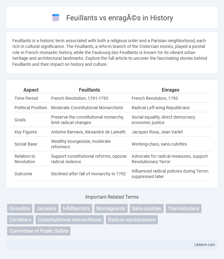 enragés vs Feuillants in History - What is The Difference?