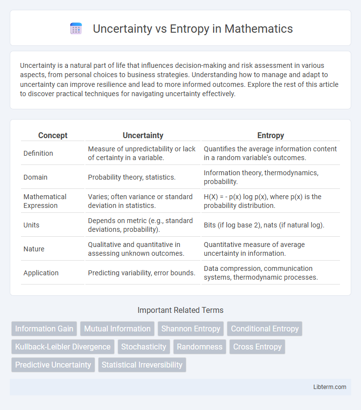 Entropy vs Uncertainty in Mathematics - What is The Difference?