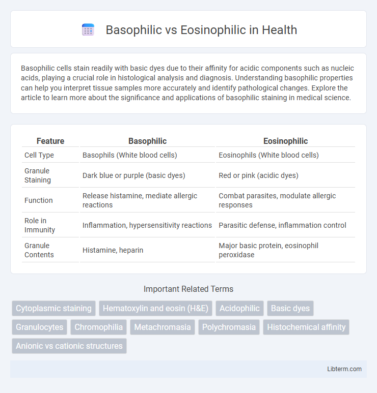 Eosinophilic vs Basophilic in Health - What is The Difference?