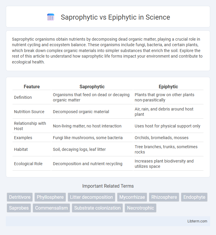 Epiphytic vs Saprophytic in Science - What is The Difference?