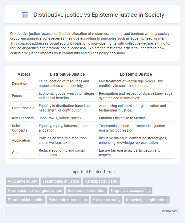 Epistemic justice vs Distributive justice in Society - What is The Difference?