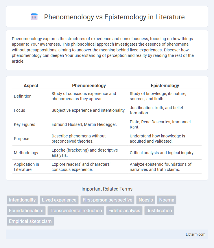 Epistemology vs Phenomenology in Literature - What is The Difference?