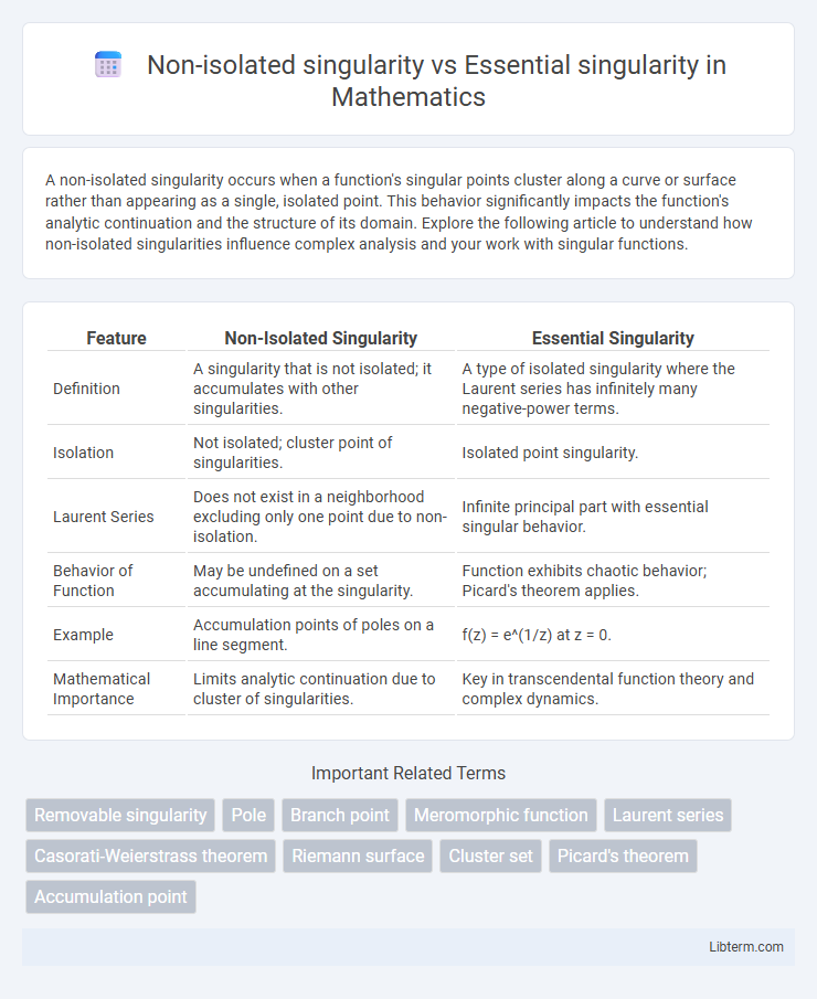 Essential singularity vs Non-isolated singularity in Mathematics - What is The Difference?