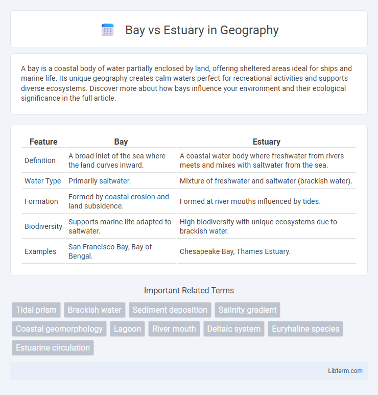 Estuary vs Bay in Geography - What is The Difference?
