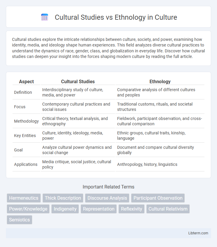 Ethnology vs Cultural Studies in Culture - What is The Difference?