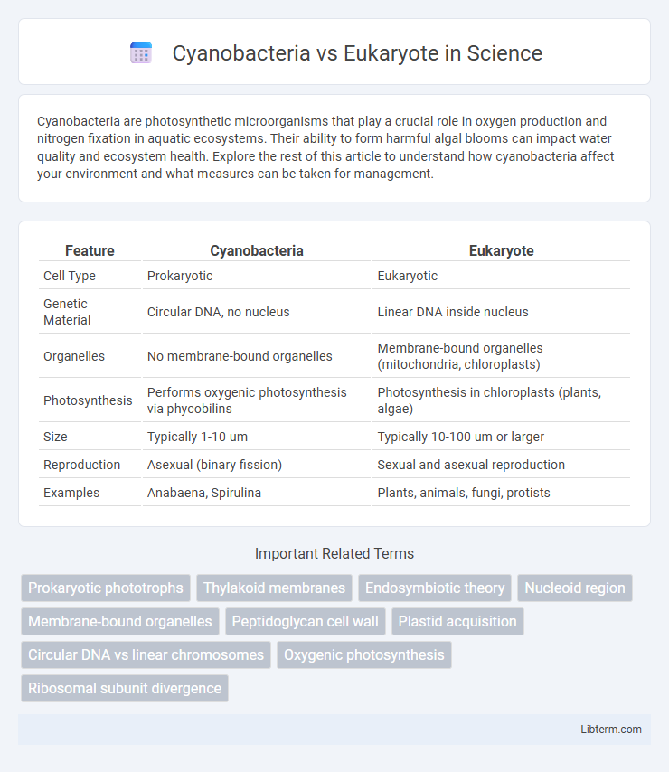 Eukaryote vs Cyanobacteria in Science - What is The Difference?