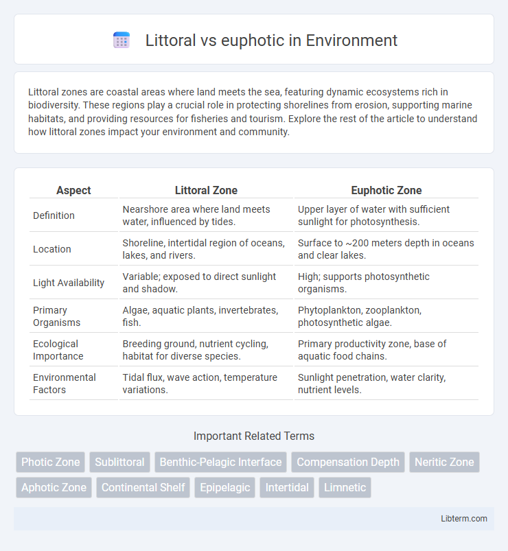 euphotic vs Littoral in Environment - What is The Difference?