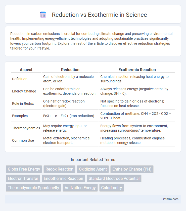 Exothermic vs Reduction in Science - What is The Difference?