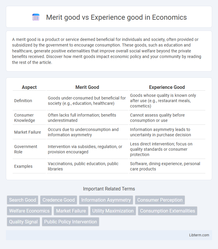 Experience good vs Merit good in Economics - What is The Difference?