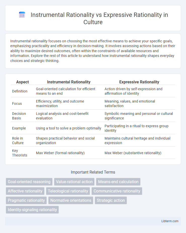 Expressive Rationality vs Instrumental Rationality in Culture - What is The Difference?