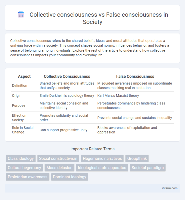 False consciousness vs Collective consciousness in Society - What is The Difference?